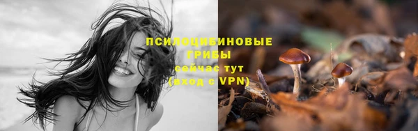 MESCALINE Алзамай