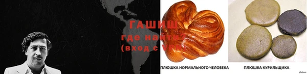 гидра Рославль