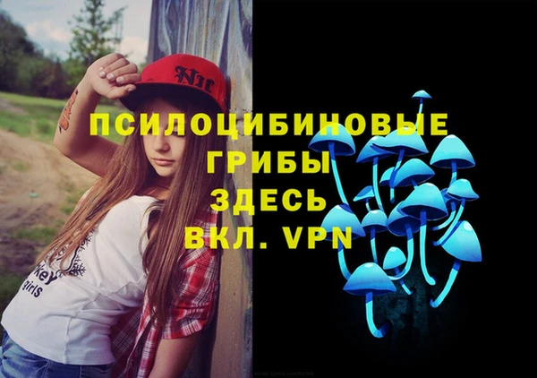спиды Алексеевка
