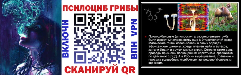 купить наркотик Бавлы Галлюциногенные грибы прущие грибы